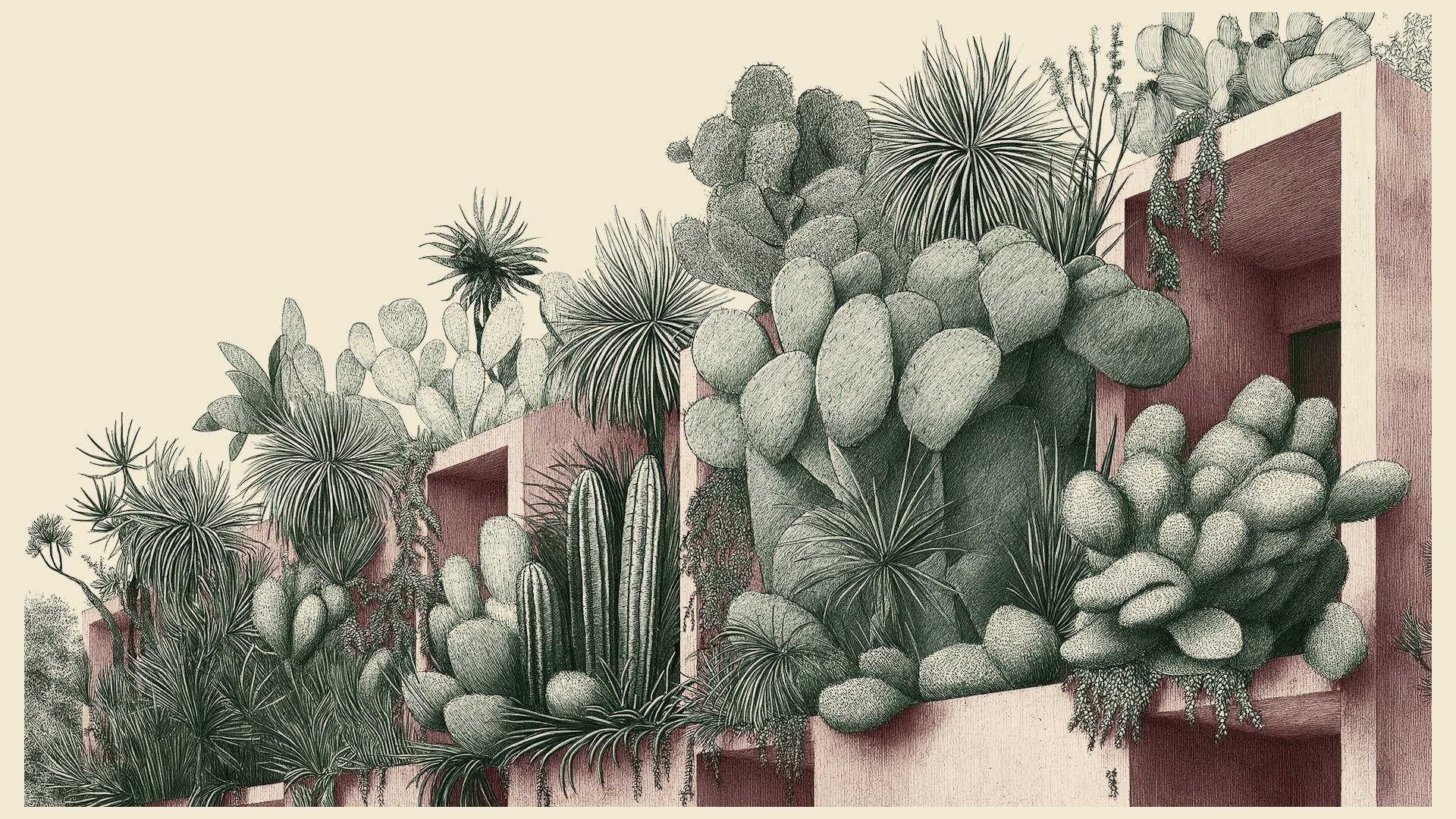 Botanical illustration of Laiva architecture