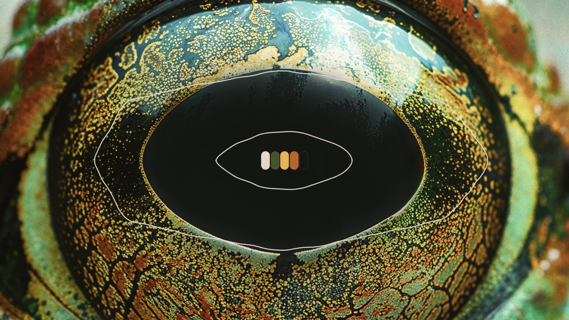 Makua eye and color palette