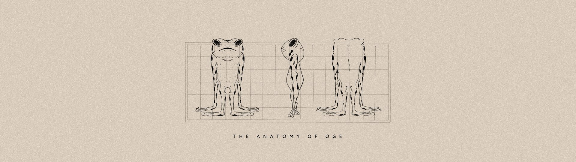 The anatomy of Oge