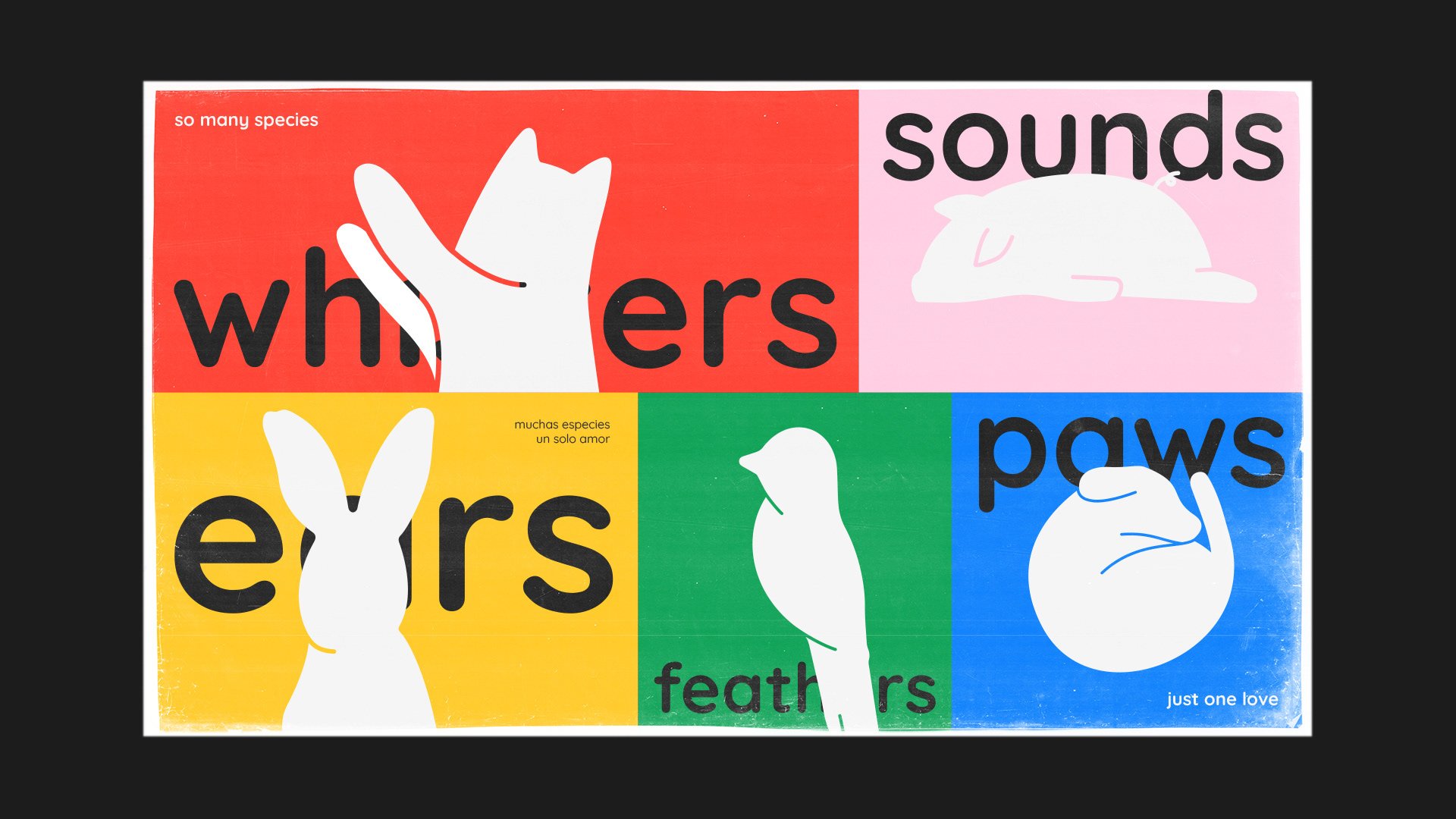 Whiskers, sounds, ears, feathers, paws — Spikes key visual