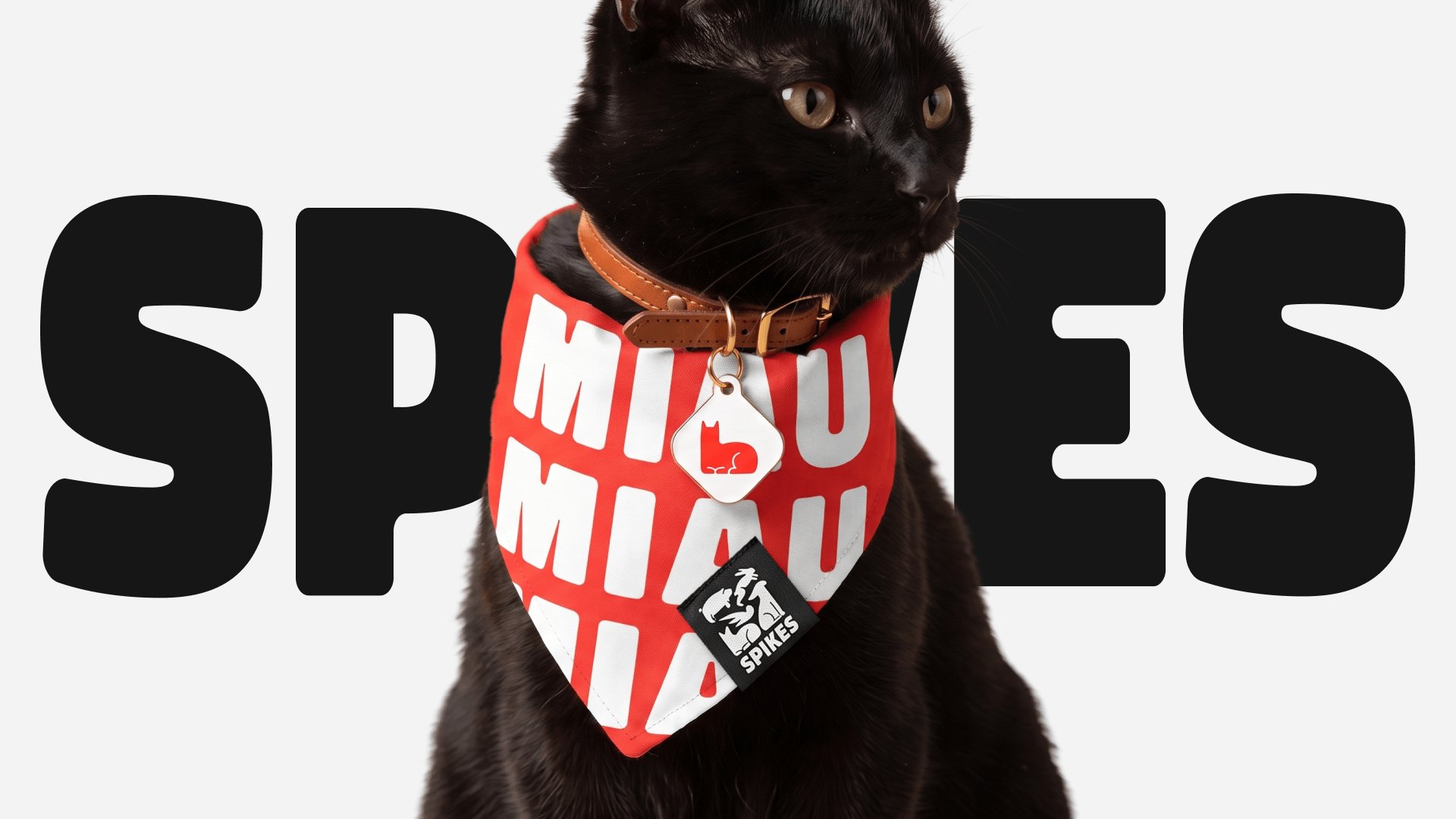Cat wearing Spikes bandana