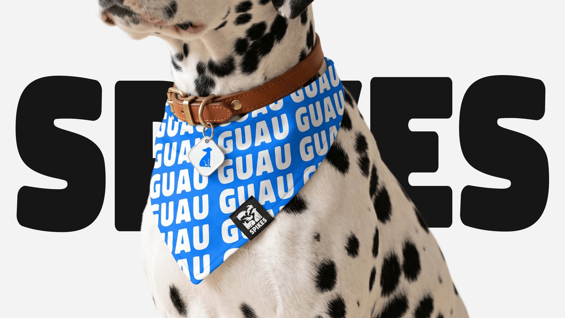Dog wearing Spikes bandana